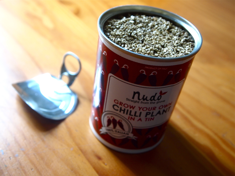 Chillies in a tin